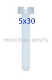 Zylinderkopf Nylonschraube M5x30 • 10 Stck